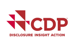 CDP - DISCLOSURE INSIGHT ACTION